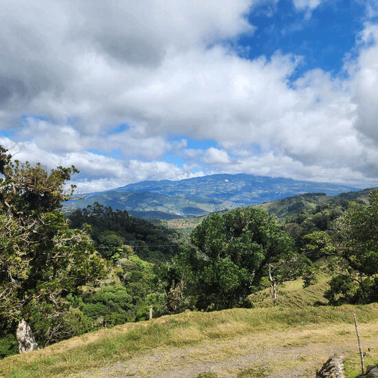 Pasted image 20251222145300_bA69EEb6.jpg